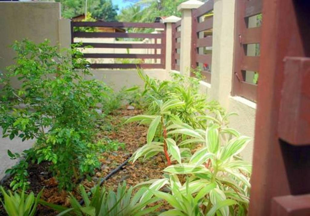 Gaea'S Apartments Panglao Esterno foto